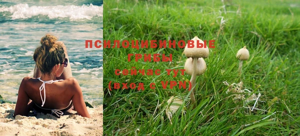 каннабис Беломорск