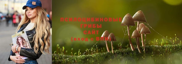 эйфоретик Иннополис