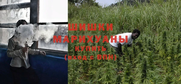 гидропоника Снежинск
