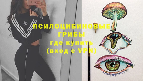 ешки Слюдянка