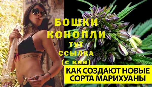 гидропоника Снежинск